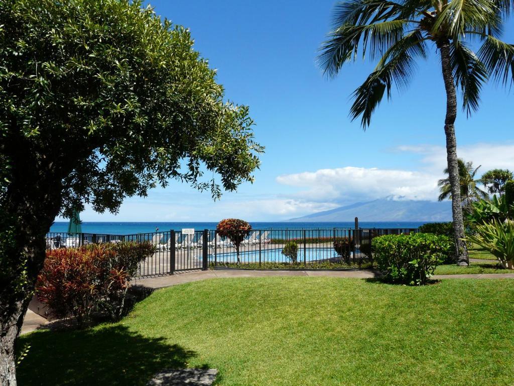 Condos At Napili Point Lahaina Værelse billede